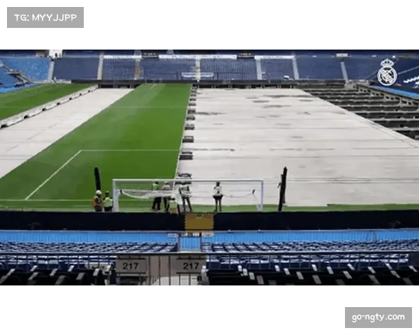 通讯：多特蒙德伊杜纳信号公园球场升级草坪系统，以保障比赛流畅度